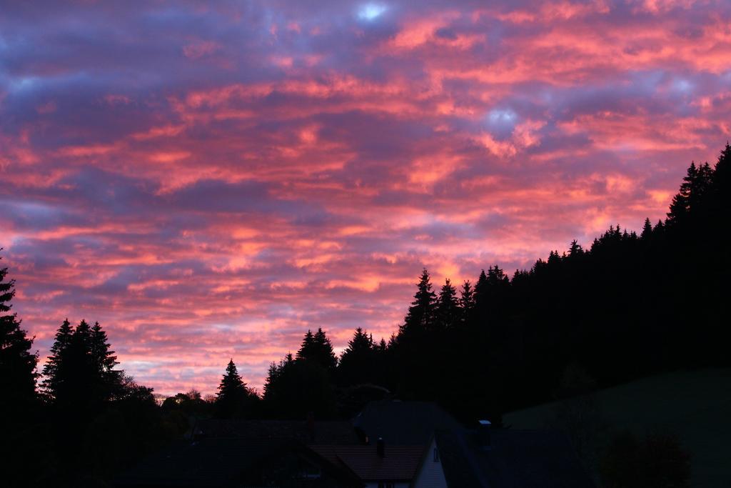 Gasthof Schwarzwaldtanne Schönwalde 외부 사진