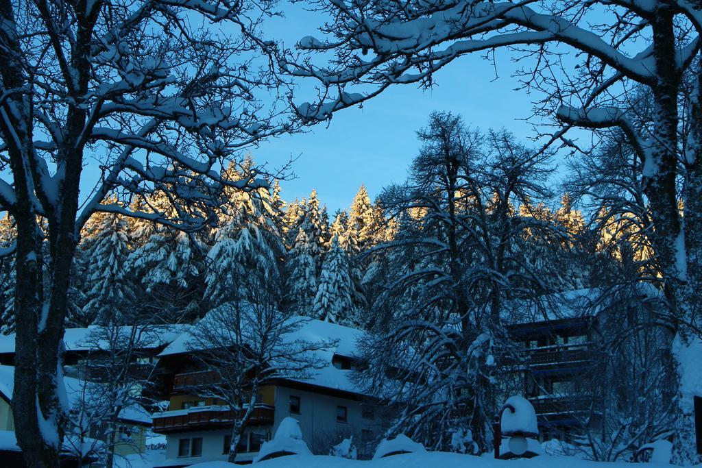 Gasthof Schwarzwaldtanne Schönwalde 외부 사진