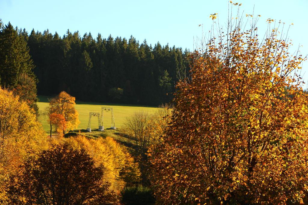 Gasthof Schwarzwaldtanne Schönwalde 외부 사진