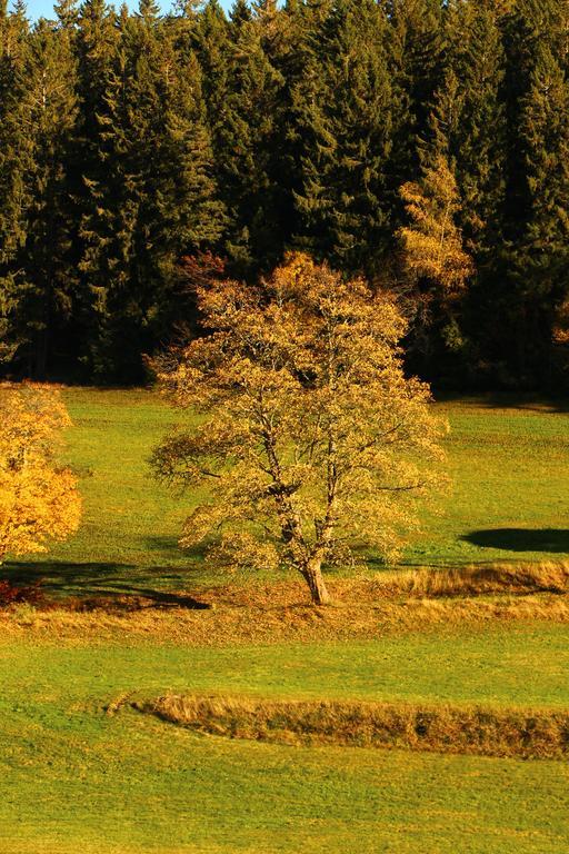 Gasthof Schwarzwaldtanne Schönwalde 외부 사진